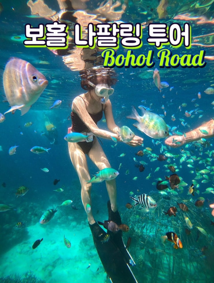  보홀 나팔링 투어, 히낙다난 동굴 한인업체 추천 보홀로드 후기