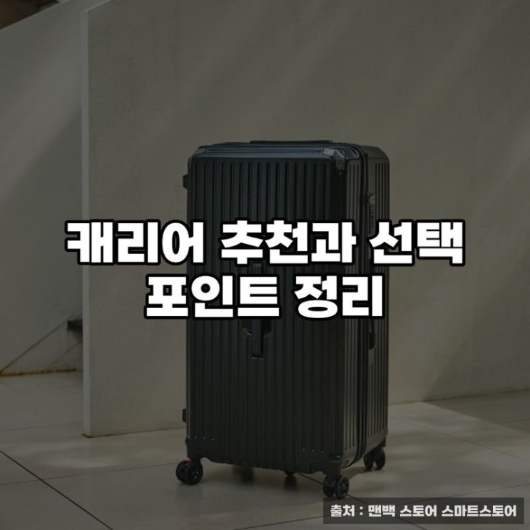 캐리어 추천과 선택 포인트 정리