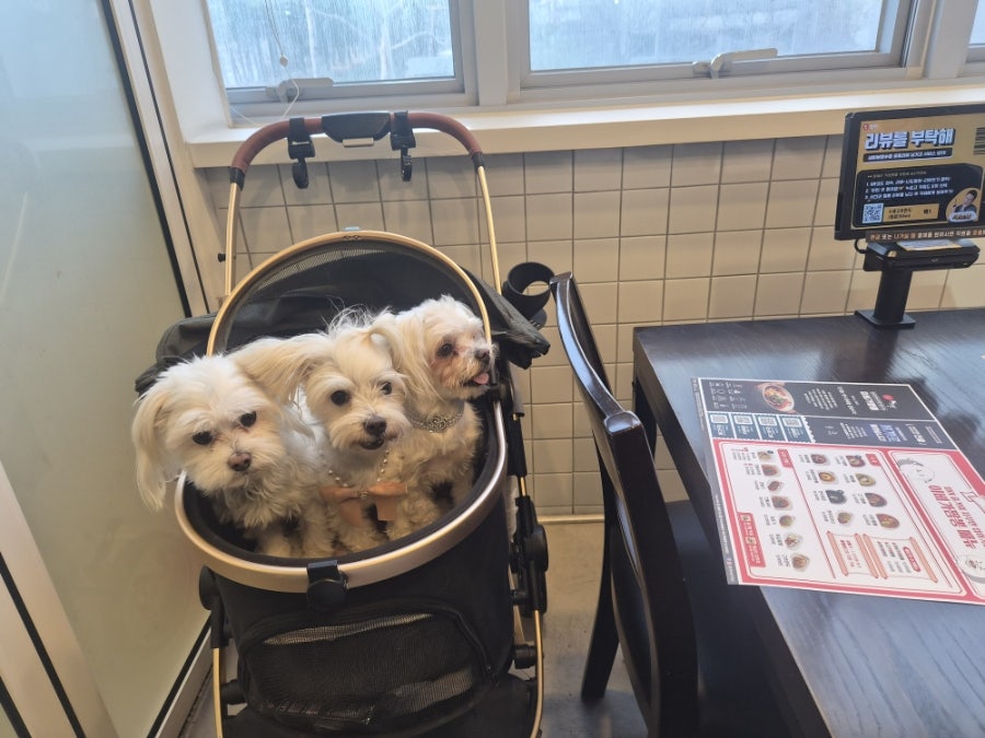 이비가짬뽕 오산세교점 사진 3