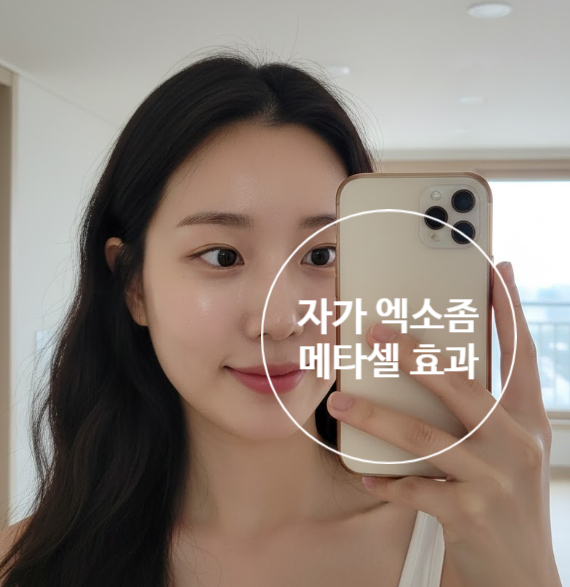  자가엑소좀 줄기세포란?