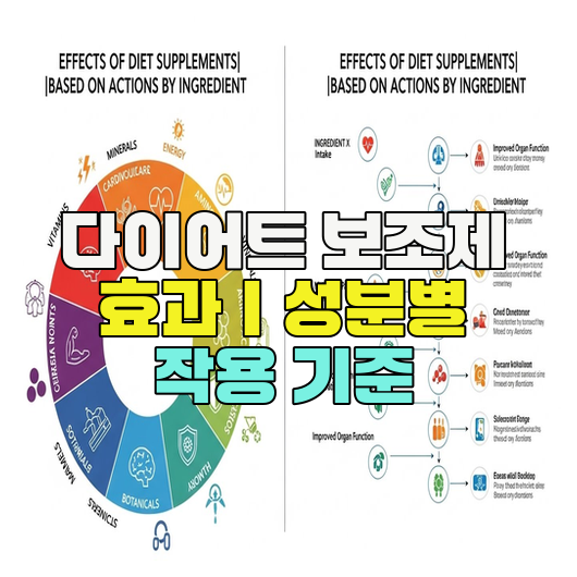  다이어트 보조제 효과｜성분별 작용 기준