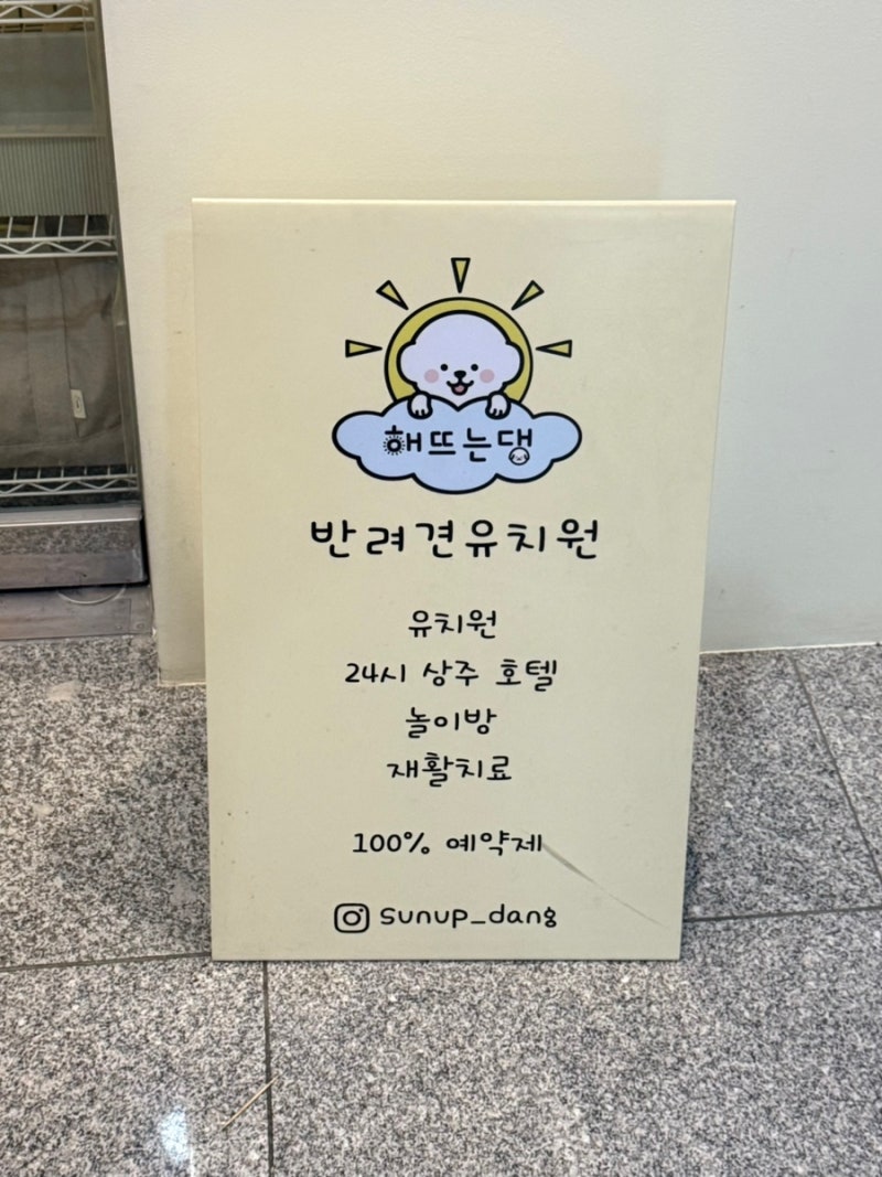 해뜨는댕 강아지 유치원