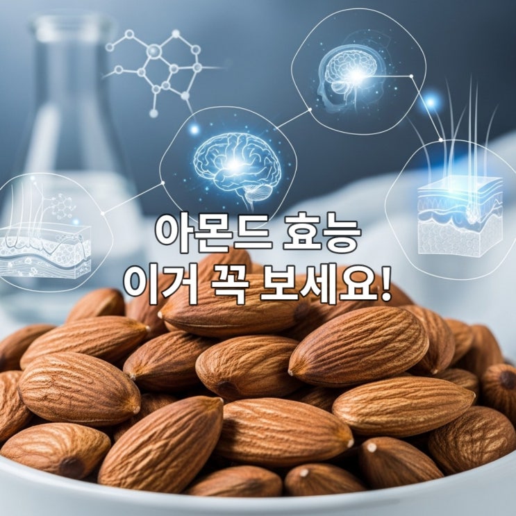  내 몸을 살리는 아몬드: 심혈관, 피부, 뇌 건강까지! 올바른 섭취 가이드