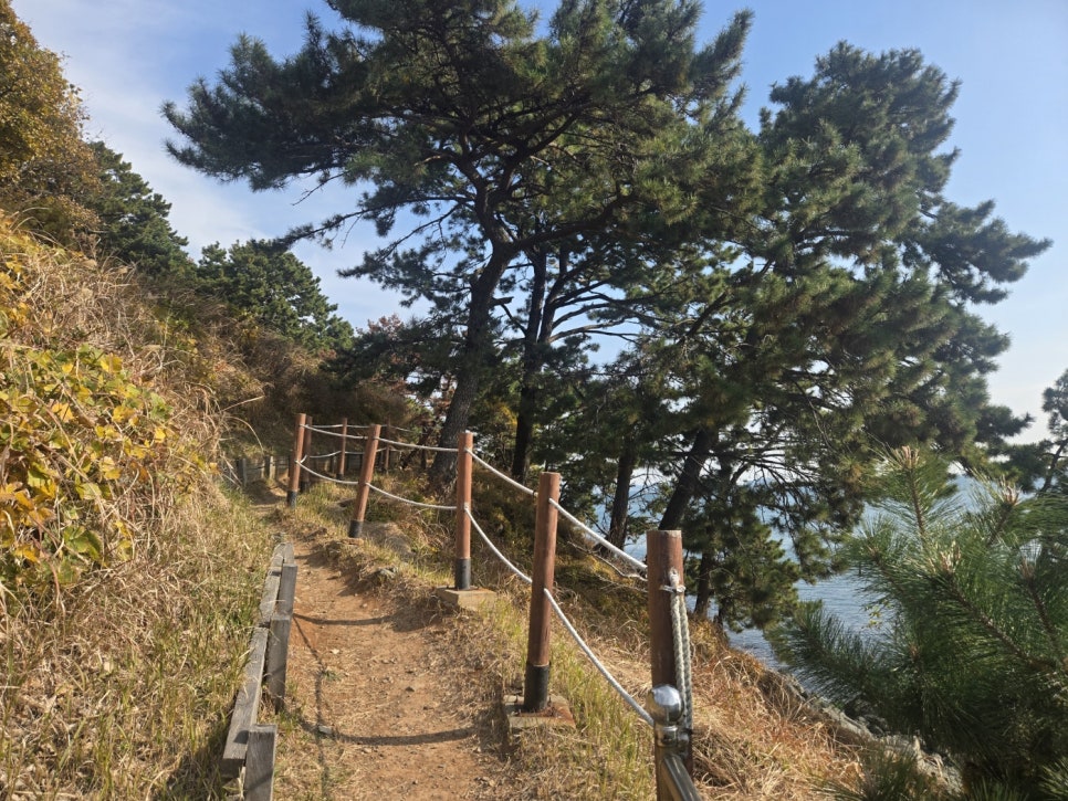 라이트하우스 사진 5