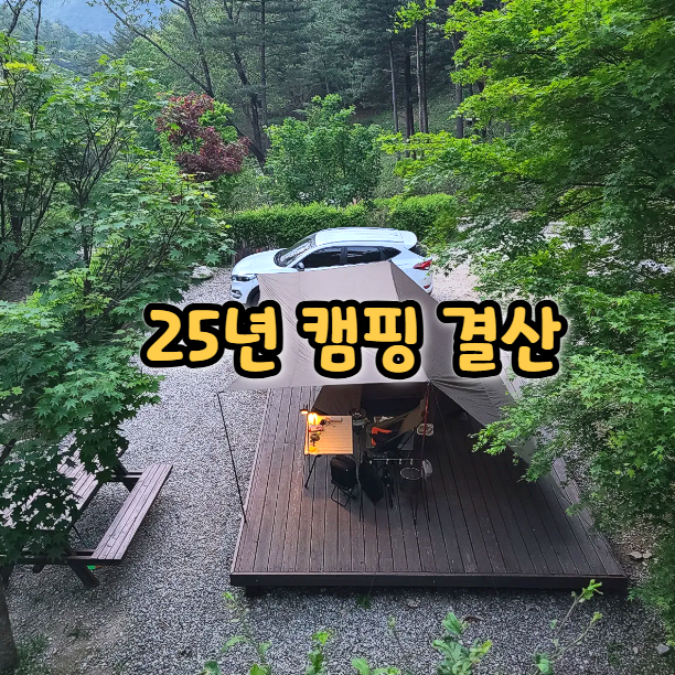  25년 어느 캠핑장을 그렇게 다녔나? 25년 캠핑 결산