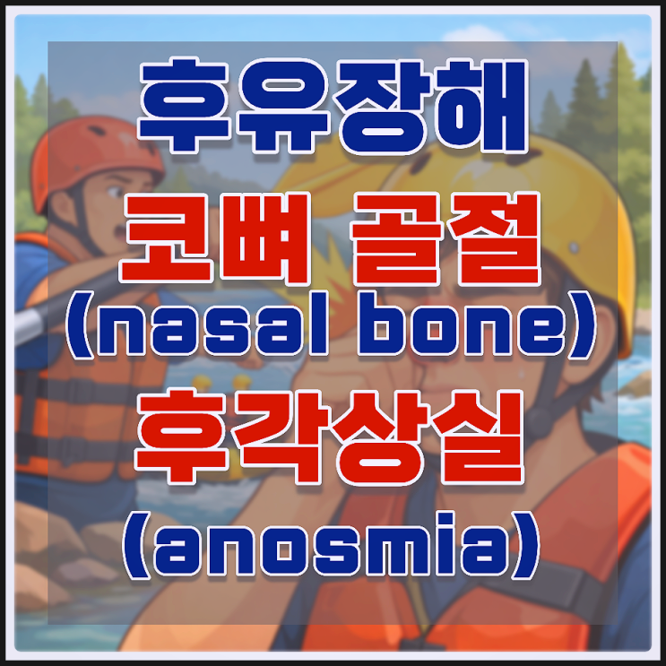  코뼈 골절(nasal bone)과 후각상실(anosmia), 놓치기 쉬운 후유장해 보상 완벽 정리