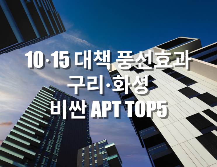  10·15 대책 풍선효과 구리·화성 비싼 아파트 TOP5