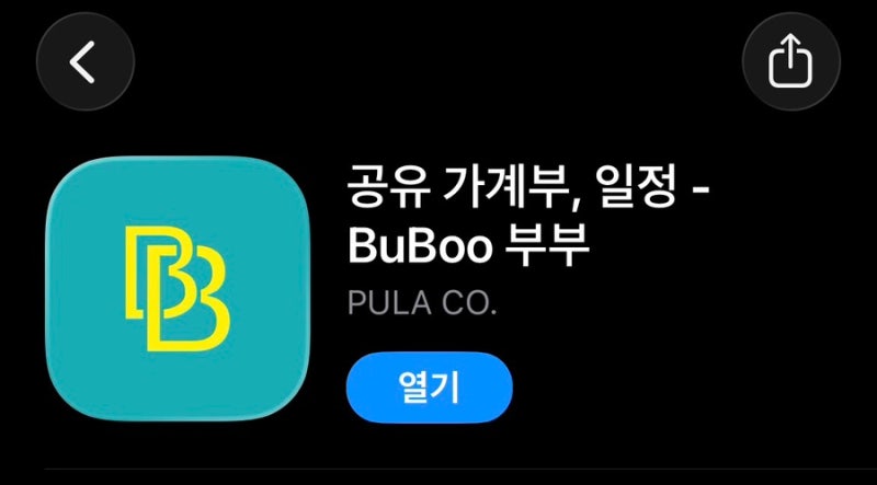 커플 가계부 어플 자산관리 예산관리 신혼부부 가계부 어플 추천 ‘ BuBoo ’ 이용 후기