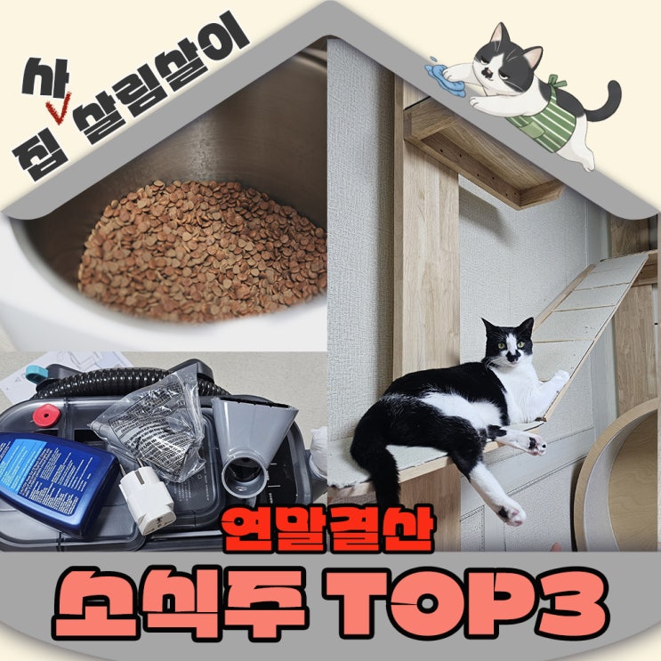  2025년 연말결산 고양이살림 이건정말 잘샀다 종결템 TOP3