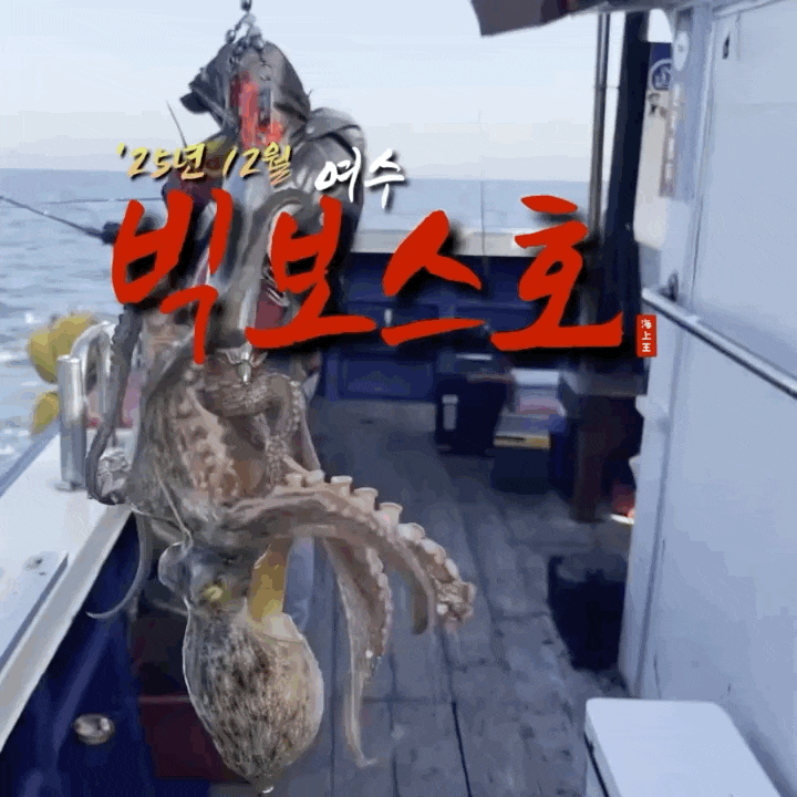  여수 빅보스호와 함께한 문어 갑오징어 낚시 조행기