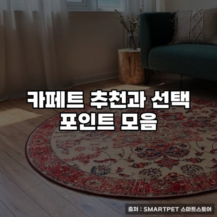  카페트 추천과 선택 포인트 모음