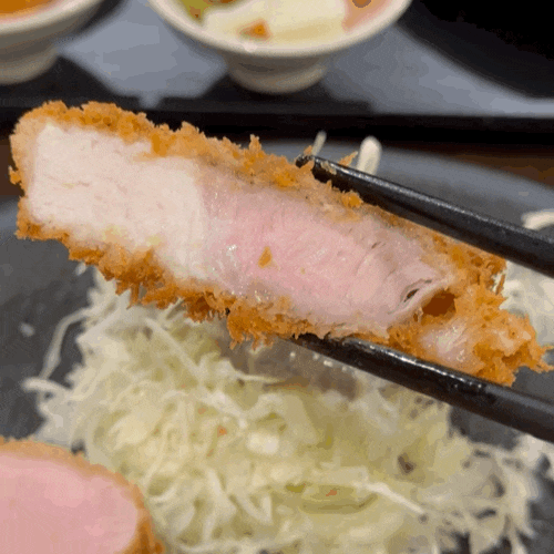  삼성중앙역 맛집 카츠선명, 고퀄리티 버크셔K의 진한 풍미와 육향 후기