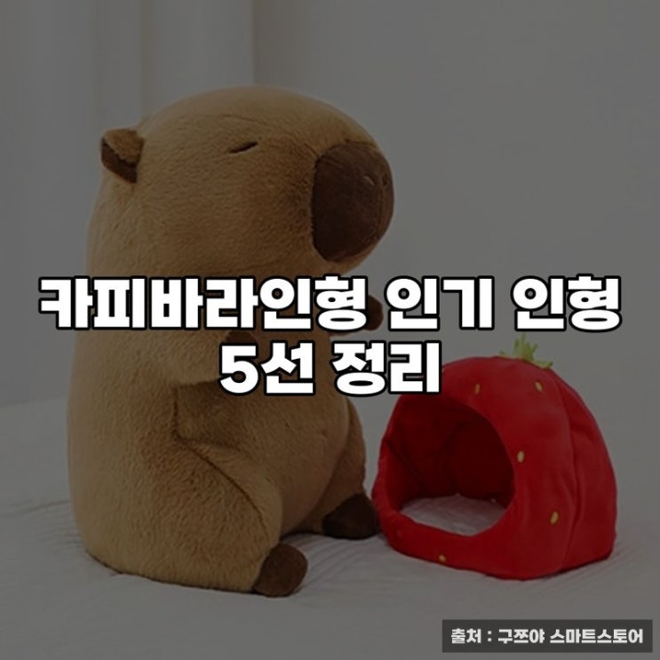  카피바라인형 인기 인형 5선 정리