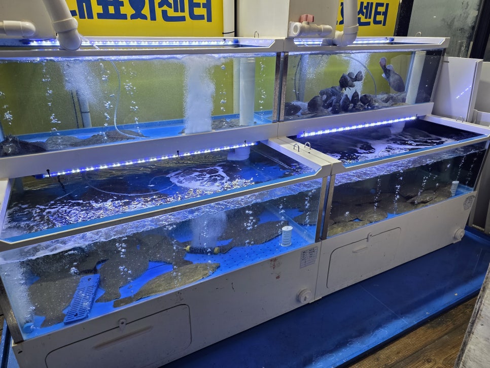 국가대표 회센터 동탄호수공원점 사진 4