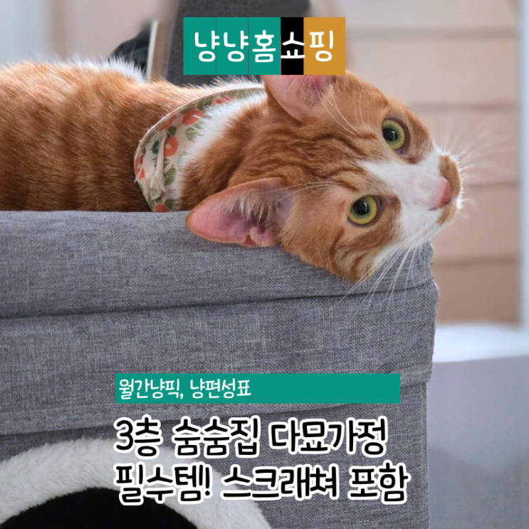  고양이 숨숨집 하우스 MA-AH PETCA 다묘가정도 넉넉한 3층 장난감 스크래쳐