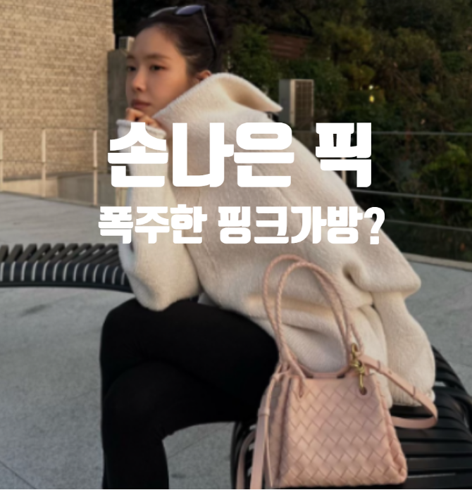  손나은 보테가베네타 핑크 가방 가격은 (조용한 럭셔리의 정석)