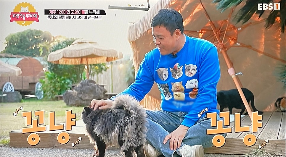 캣월드카페 사진 6
