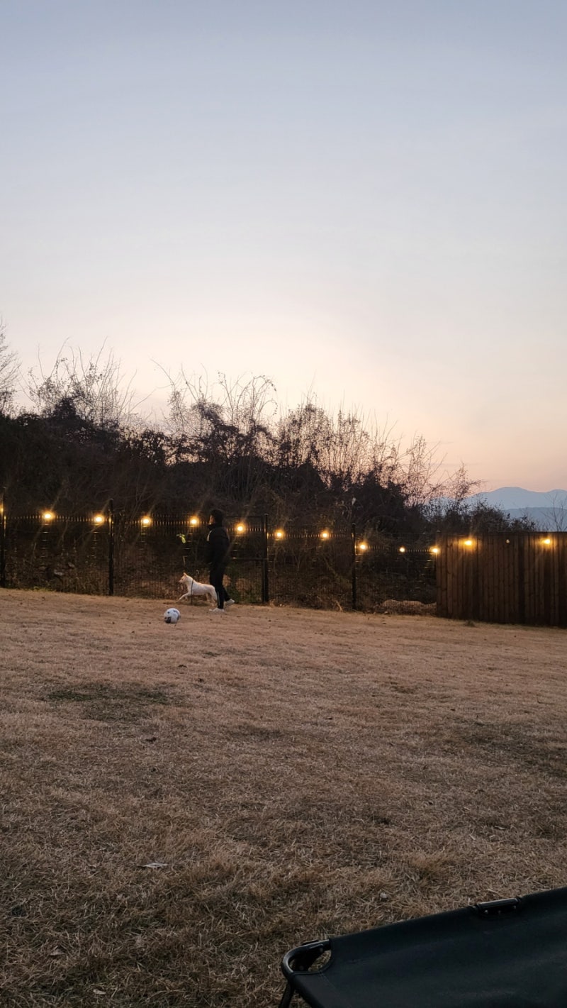 스테이다독