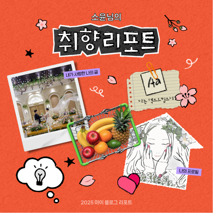  [2025 마이 블로그 리포트] 데이터로 채워보는 내 블로그 취향 리포트