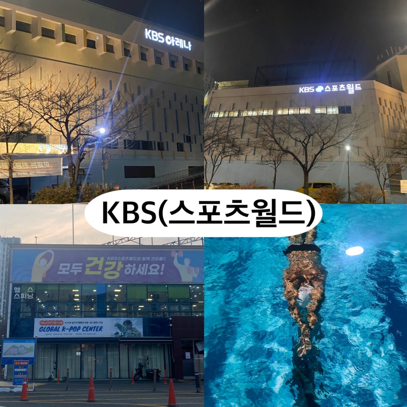 서울 평일 자유수영 가능한 곳 I KBS 스포츠월드(KBS 아레나) 평일 주말 자유수영, 50m 레인 처음....