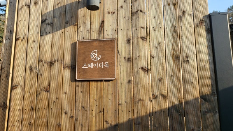 사진 15