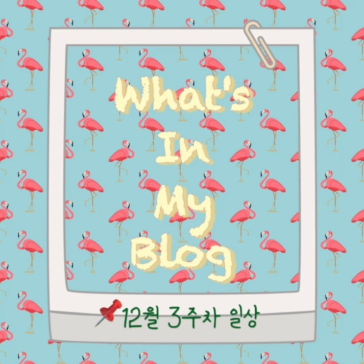  12월 3주 차 일상 정리 왓츠인마이블로그 블챌