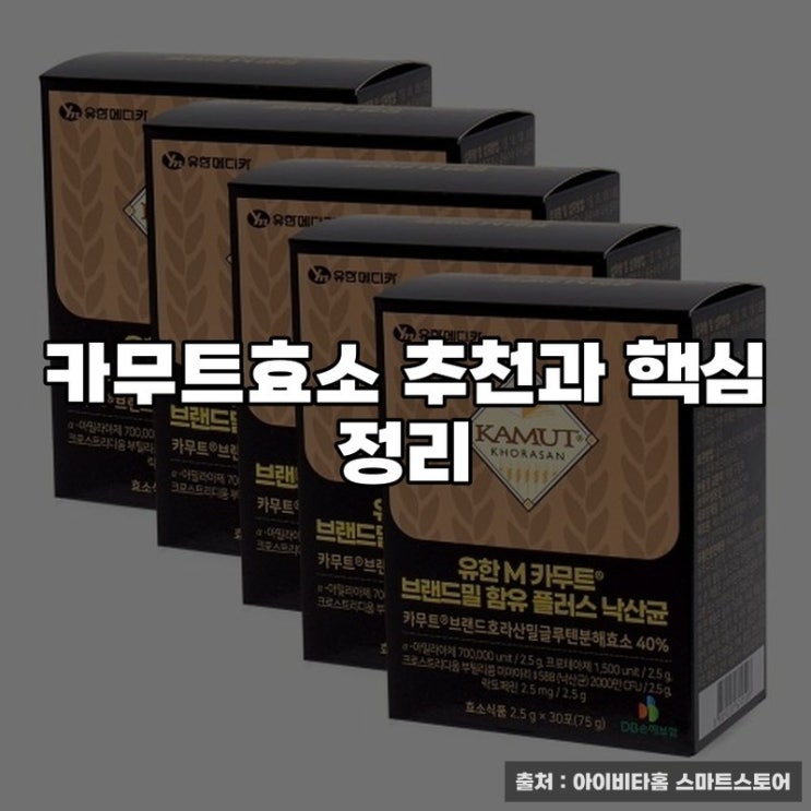  카무트효소 추천과 핵심 정리