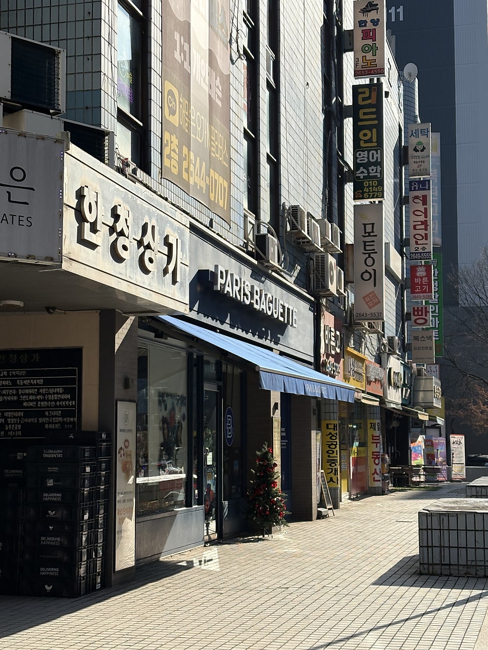 복스넥 사진 2