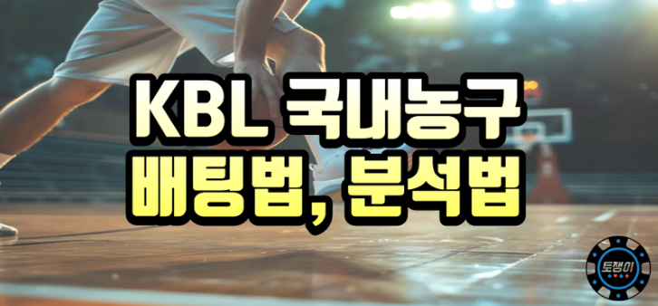  KBL 국내 농구 분석방법에 대해