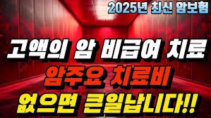 2025년 필수 보험 트렌드는, 인기 급상승 중인 비급여 암치료비, 순환계 치료비, 중입자 암치....