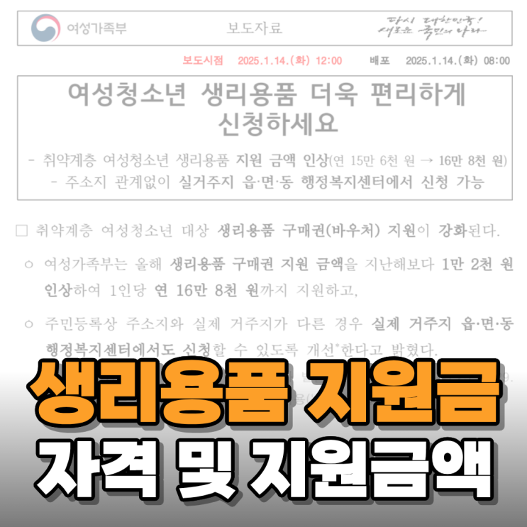  여성청소년 생리대 월 14,000원씩 지원한다고 해서 알아보니