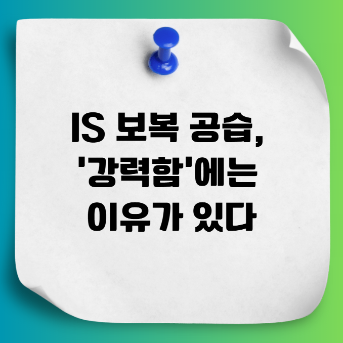 <b>트럼프 경고</b> 발언 이후 미국 IS 보복 공습 왜 강력했나