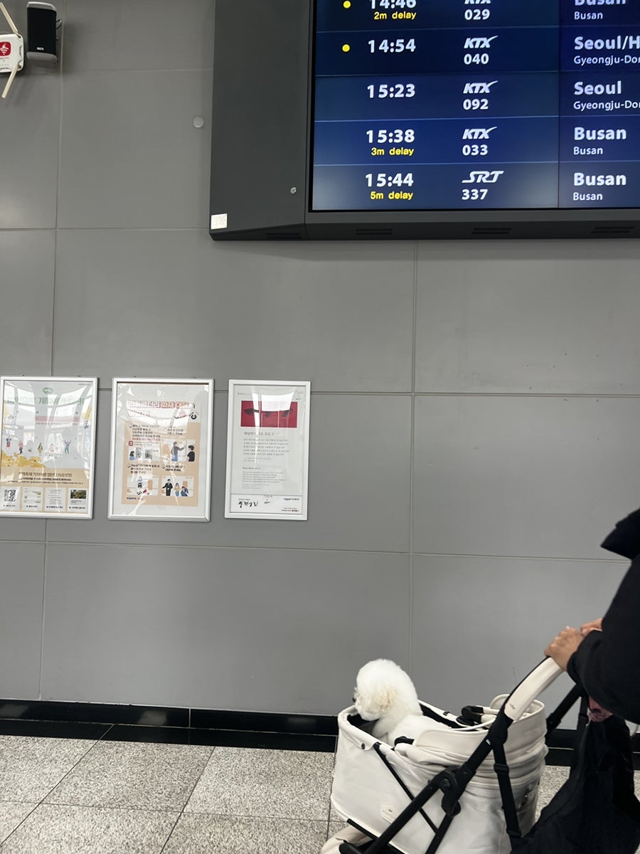 던킨 울산언양점 사진 4