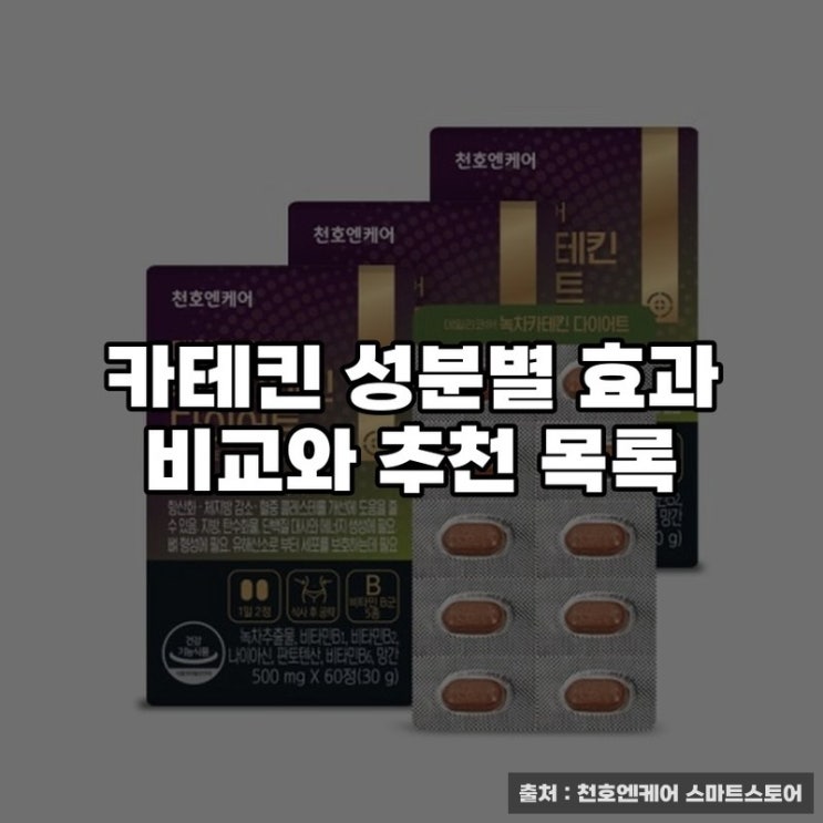  카테킨 성분별 효과 비교와 추천 목록