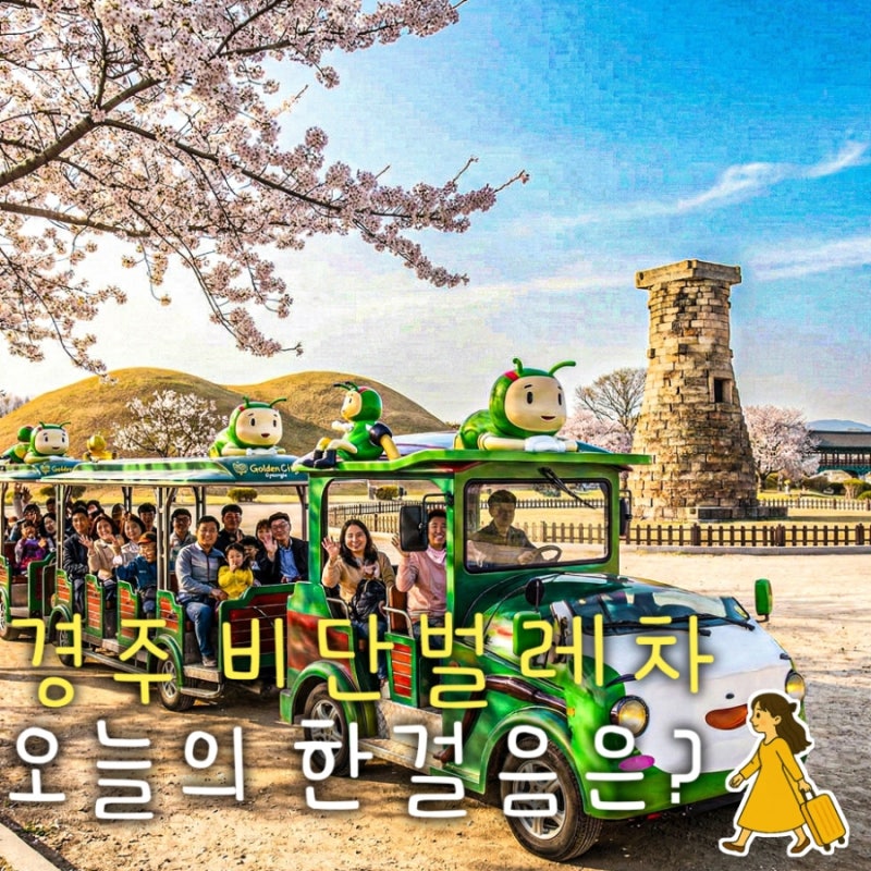 경주 비단벌레차 타는곳 매표소 당일 시간 예약 방법 오픈 우천
