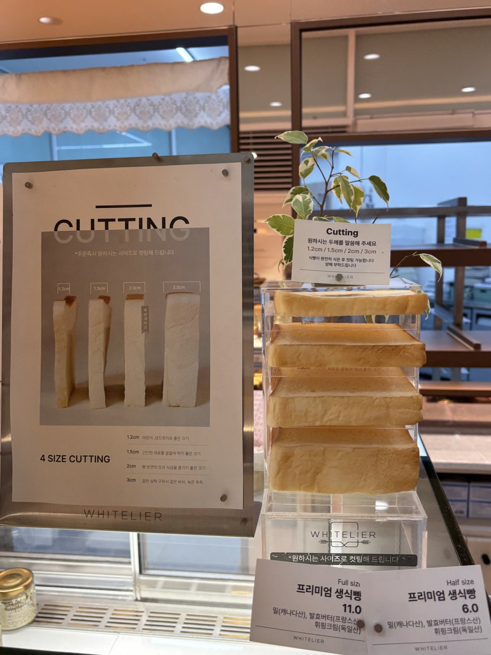 화이트리에 양덕점 사진 6