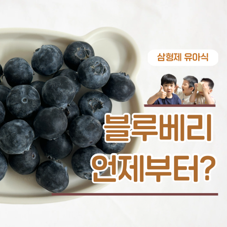  아기 블루베리 언제부터? 블루베리빵 레시피