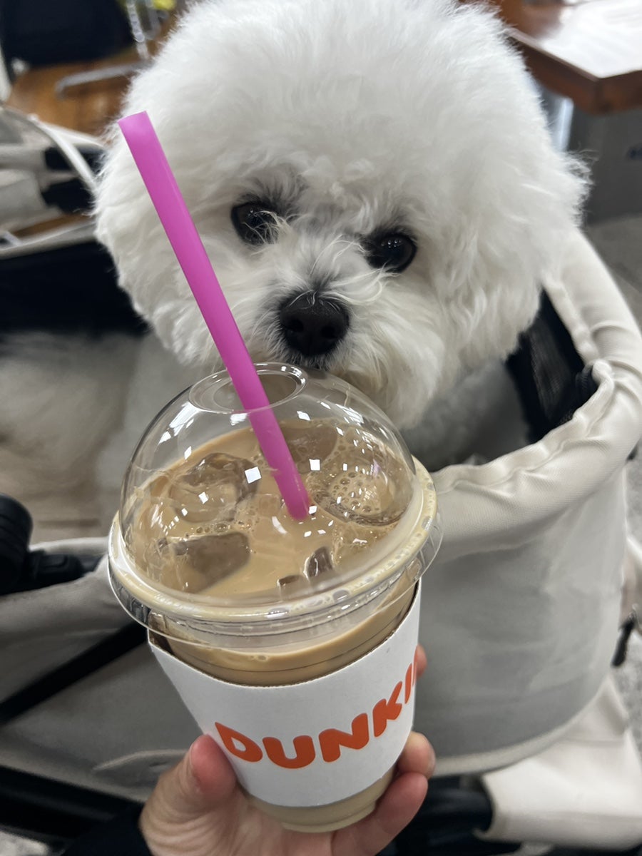 던킨 울산언양점 사진 2