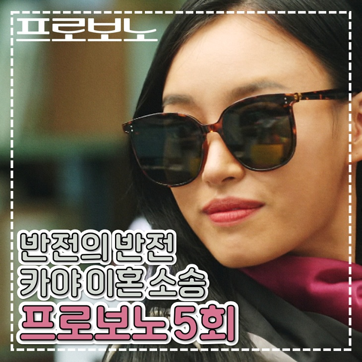 <b>프로보노</b> 5회 6회 카야 반전 <b>이혼 소송</b> tvn 토일 드라마