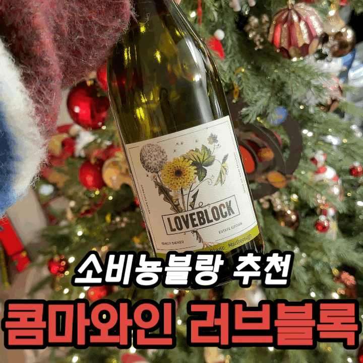  러브블럭 말보로 소비뇽 블랑 솔직 후기｜콤마와인으로 완성한 연말 홈파티