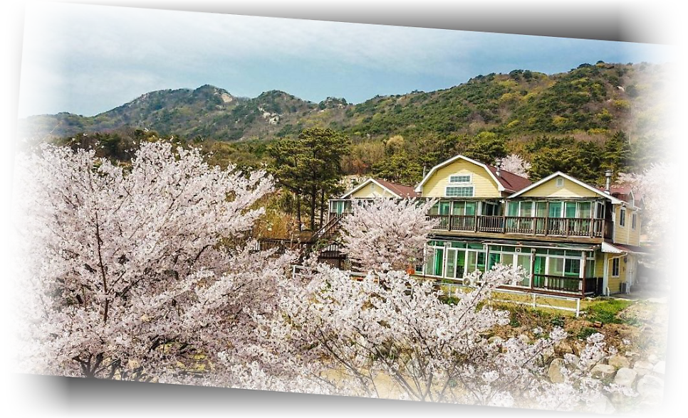 오비도스펜션 사진 4