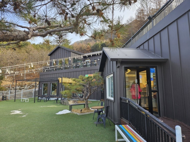  홍천 애견동반카페 식당 홍시 비발디파크 근처 강아지랑 갈 수 있는 곳