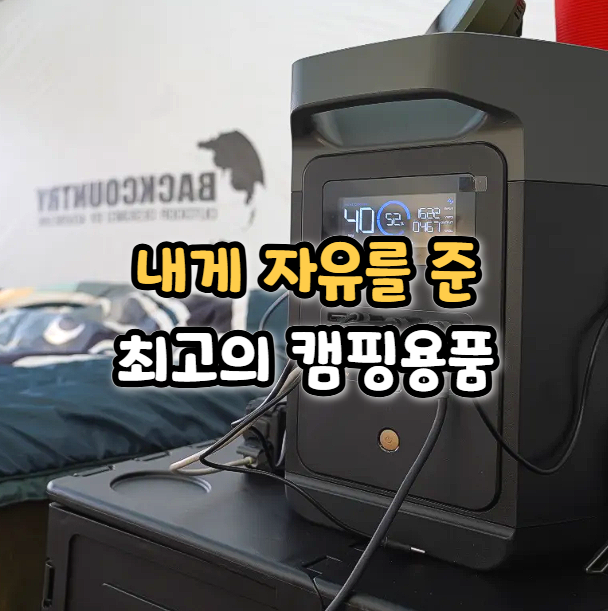  대용량 캠핑용 배터리 에코플로우 델타2, 겨울 최대 혜택(할인코드)