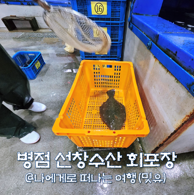 동탄 병점 횟집 선창수산 식당 시세, 회포장 가격 싼데?