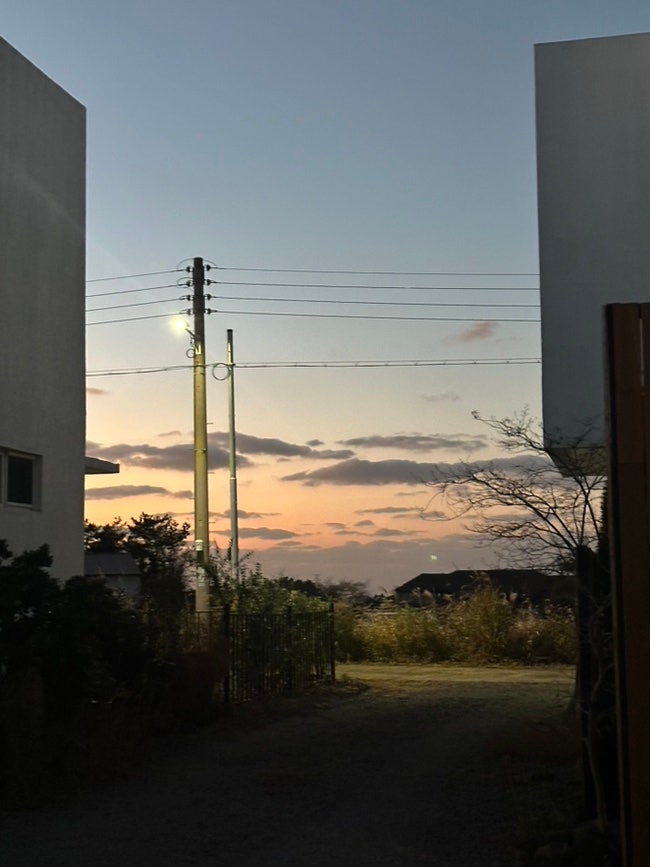 사진 7