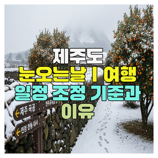  제주도 눈오는날｜여행 일정 조정 기준과 이유