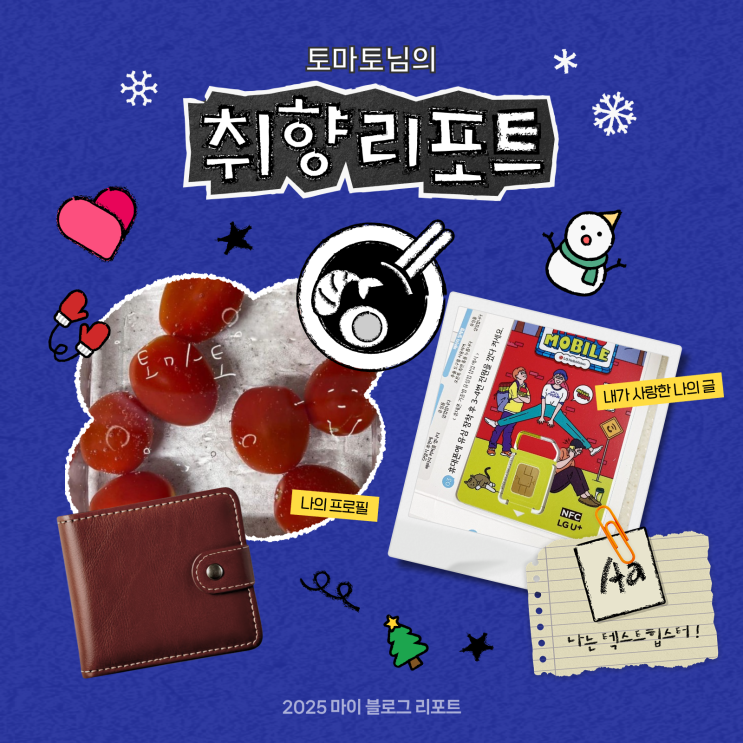  [2025 마이 블로그 리포트] 데이터로 채워보는 내 블로그 취향 리포트