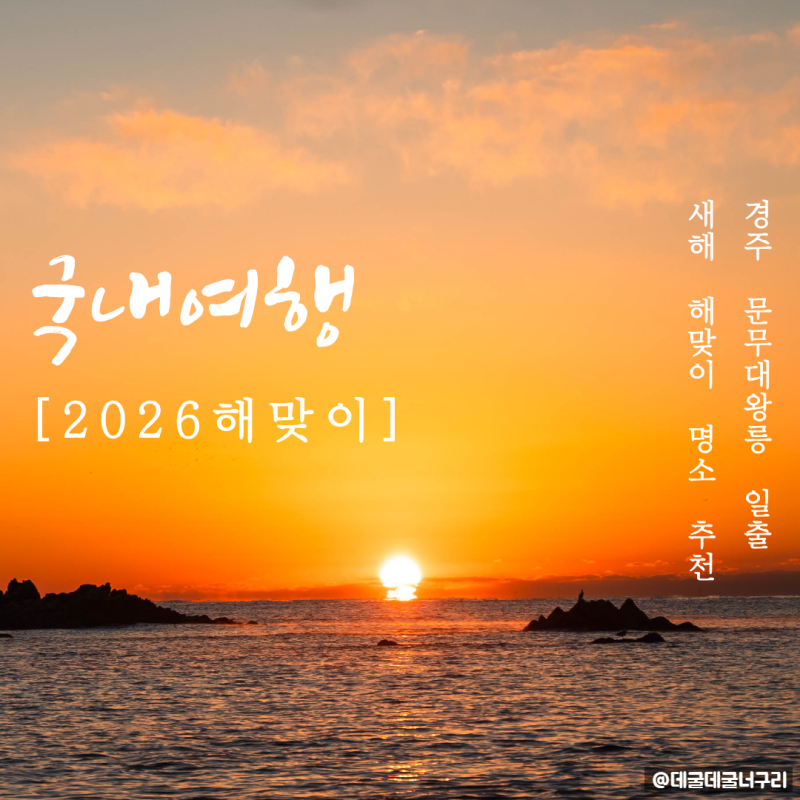 사진 8