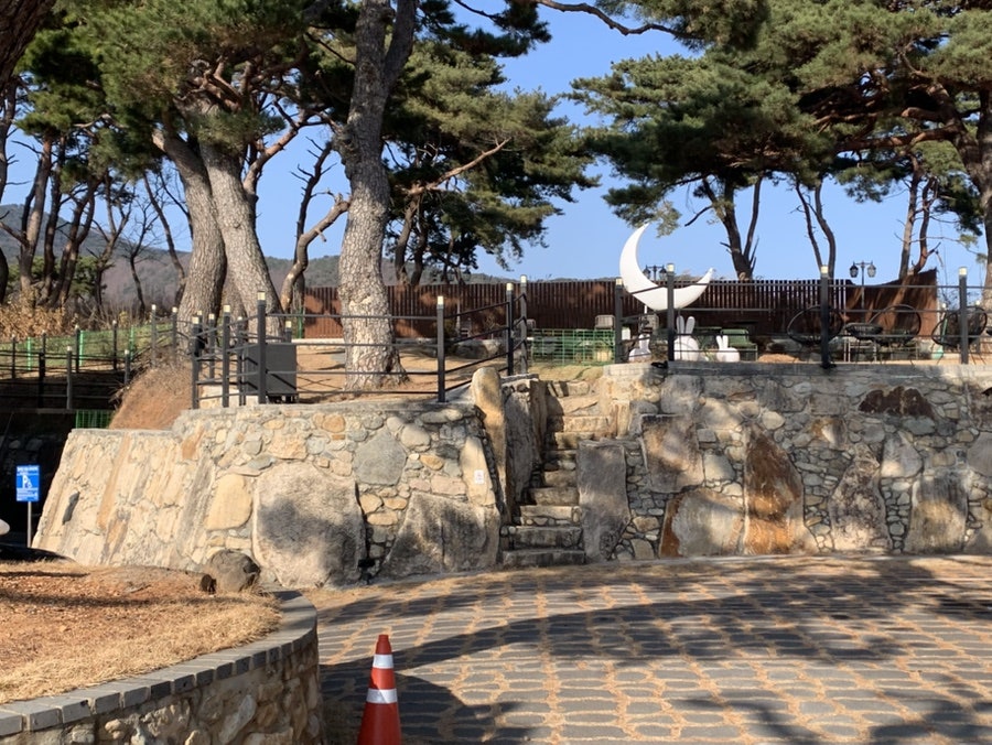어서오솔 사진 6