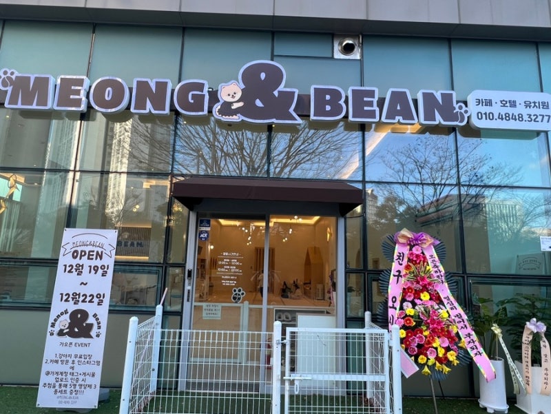 멍앤빈
